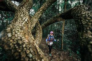 BIB: 
                            <button type="button" onclick="openModal(25393297)" class="btn btn-primary btn-sm float-right btn-popup" data-toggle="modal" data-target=".modal-high-quality">
                        <i class="fas fa-shopping-cart"></i> Add to Cart
                    </button>
                                            <button type="button" onclick="isThisMe(25393297, true)" class="btn btn-success btn-sm float-right btn-popup btn-isme hidden" data-toggle="tooltip" data-placement="bottom" title="นี่คือรูปของคุณใช่ไหม คลิกที่นี่เพื่อเอาเข้าอัลบั้ม">
                        <i class="fas fa-plus"></i> Add to album
                    </button>
                    <button type="button" onclick="isThisMe(25393297, false)" class="btn btn-warning btn-sm float-right btn-popup btn-isnotme hidden">
                        <i class="fas fa-ban"></i> Remove from album
                    </button>